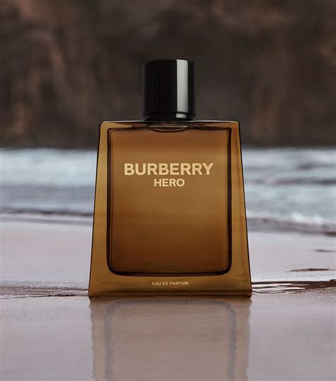 cologne burberry hero|Burberry Hero cologne price.